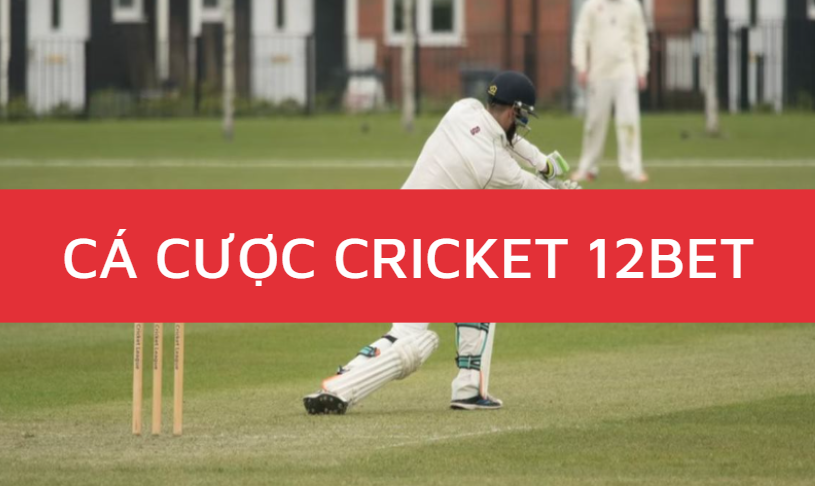 ca cuoc cricket